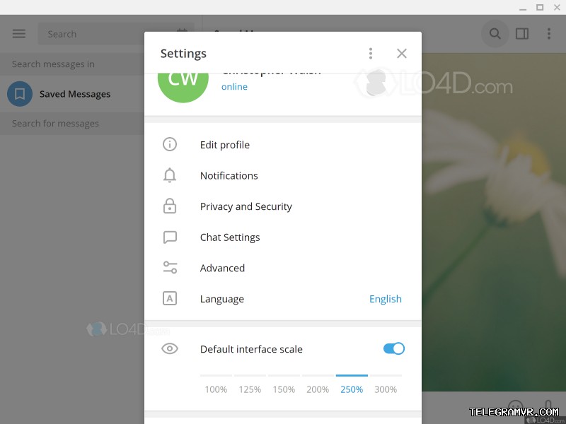 礼品、验证平台及Telegram安全功能
